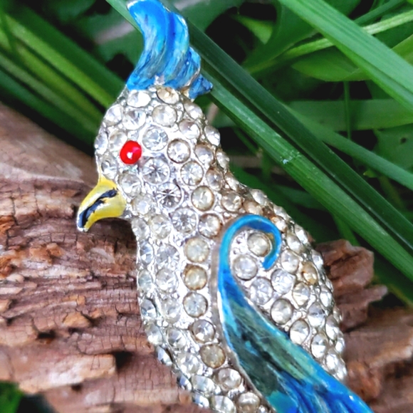 Rare 1940s Colorful Bird Duette Enamel Fur Clip - Picture 7 of 12